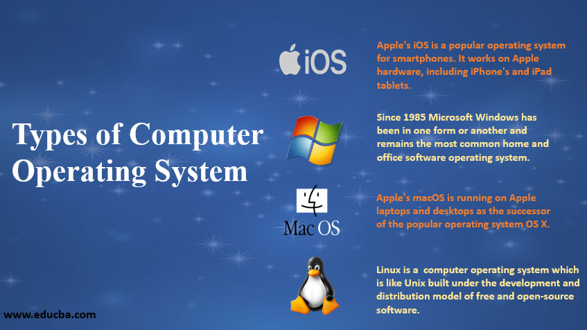 programming language used to write operating systems for windows and mac